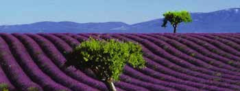 fil franck tours - Hotels in Provence<br>